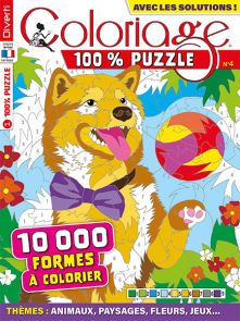 Coloriage 100% Mystère 14 - 15 000 formes à colorier - Magazine de Diverti Editions