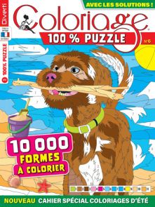 Coloriage 100% Mystère 14 - 15 000 formes à colorier - Magazine de Diverti Editions