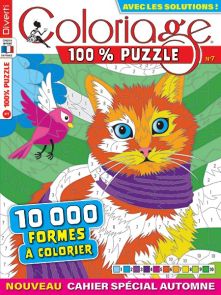 Coloriage 100% Mystère 14 - 15 000 formes à colorier - Magazine de Diverti Editions