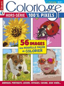 Coloriage 100% PIXELS avec 56 images à colorier Diverti Editions