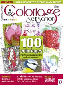 Coloriages Pict Art peinture mystere