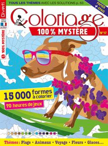 Coloriage 100% Mystère 14 - 15 000 formes à colorier - Magazine de Diverti Editions