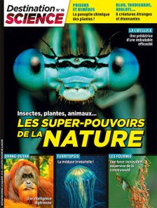 Découvrez le fonctionnement, les domaines d'application de l'ordinateur quantique susceptible de révolutionner le monde de l'informatique, dans le magazine Destination Science n°15 de Diverti Editions