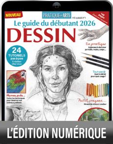 TELECHARGEMENT : Maîtrisez le DESSIN - Pratique des arts Hors-série spécial n°1