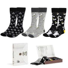 Coffret cadeau Harry Potter avec chaussettes à motifs des Reliques de la Mort, d’Hedwige et de Harry Potter, présenté dans une boîte blanche inspirée d’une lettre de Poudlard.