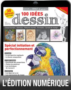 TELECHARGEMENT : 100 idées DESSIN en version numérique