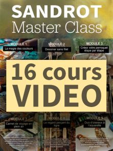 Programme de 16 cours vidéo avec l'artiste SANDROT