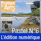 Téléchargement du Cahier spécial Pastel n°6 - Pratique des Arts