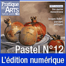 Téléchargement du Cahier spécial Pastel n°12 - Pratique des Arts