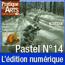 Téléchargement du Cahier spécial Pastel n°14 - Pratique des Arts