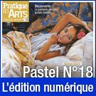 Téléchargement du Cahier spécial Pastel n°18 - Pratique des Arts