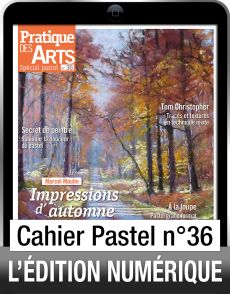 edition numérique cahier pastel 36