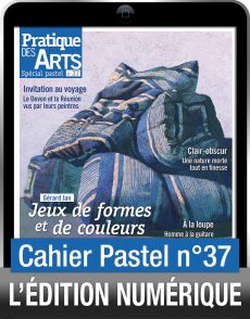 pastel numerique Pratique des Arts