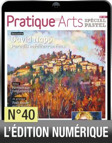 TELECHARGEMENT - Cahier Pastel n°40 - Pratique des arts - Achat Diverti Store