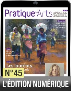 TELECHARGEMENT : Cahier Spécial Pastel n°45 - Pratique des Arts - Achat Diverti Store