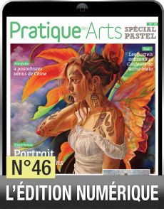 TELECHARGEMENT : Cahier Spécial Pastel n°46 - Pratique des Arts - Achat Diverti Store