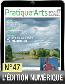 TELECHARGEMENT  - Cahier Spécial Pastel 47 - Pratique des Arts - Achat Diverti Store