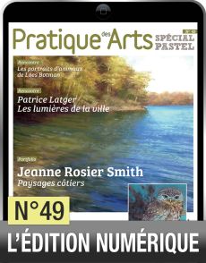 TELECHARGEMENT - Cahier Spécial Pastel 49 - Pratique des Arts - Achat Diverti Store