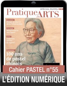 TÉLÉCHARGEMENT - Cahier spécial PASTEL 55 - Pratique des Arts