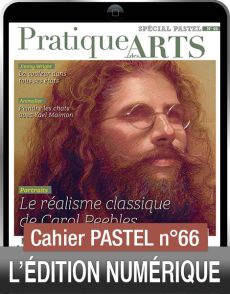 TÉLÉCHARGEMENT Cahier spécial PASTEL n°66 Pratique des Arts version numérique Diverti editions
