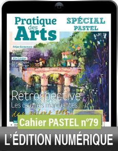 TÉLÉCHARGEMENT - Cahier spécial PASTEL n°79 - Pratique des Arts