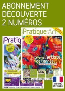 Abonnement au magazine Pratique des Arts 2 numéros