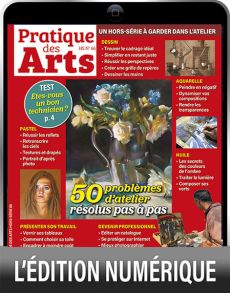 TELECHARGEMENT : 50 problèmes d'atelier résolus pas à pas - Pratique des Arts Hors-série 66