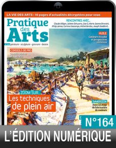 TÉLÉCHARGEMENT : Pratique des Arts n°164 en version numérique