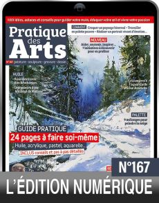 TÉLÉCHARGEMENT : Pratique des Arts n°167 en version numérique