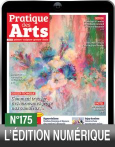 TÉLÉCHARGEMENT : Pratique des Arts n°175 en version numérique