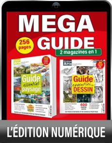 MÉGA GUIDE : Paysage et Dessin par Pratique des Arts