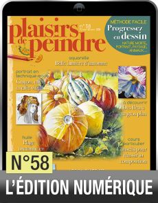 Edition numerique plaisirs de peindre
