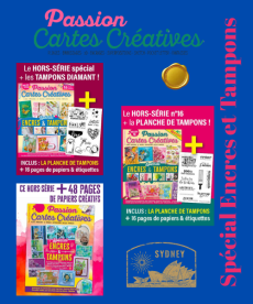 Pack PASSION CARTES CRÉATIVES - Hors-séries Encre et Tampon