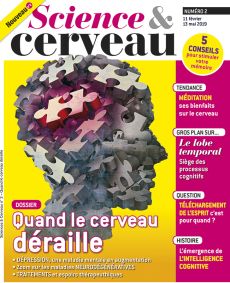 Science et Cerveau numéro 2 - Quand le cerveau déraille - Diverti Editions