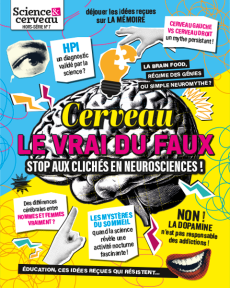 Science-&-cerveau-hors-série-7-cerveau-le-vrai-du-faux - couverture