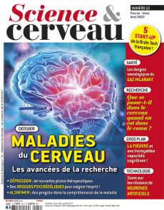 Toute l'actualité sur le cerveau sont dans le nouveau numéro de Science et Cerveau numéro 13 : les dangers du gaz hilarant, comportement du cerveau dans le coma, les maladies du cerveau et les traitements