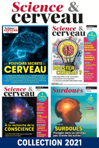 Explorez 4 numéros captivants de Science et cerveau : neurosciences, santé mentale, émotions, mémoire et innovations du cerveau. - Achat magazine sur Divertistore