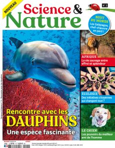 Science et Nature 03 - Rencontre avec les dauphins, une espèce fascinante - Diverti Editions