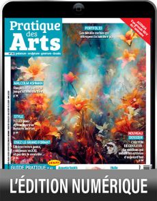 Le magazine Pratique des Arts n°183 : Les détails cachés qui attrapent la lumière - couverture