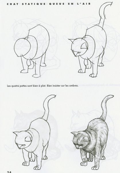 Dessiner Les Chats Méthode Facile