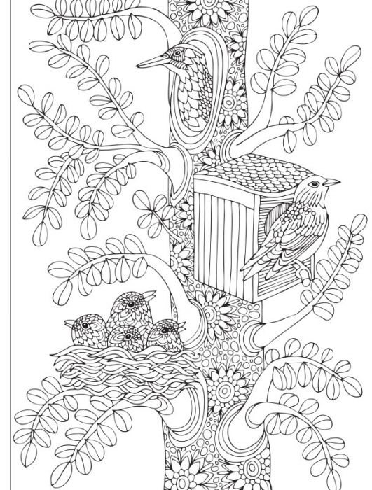 Coloriage Ambiance Zen 2 Cahier Special Adorables Chats