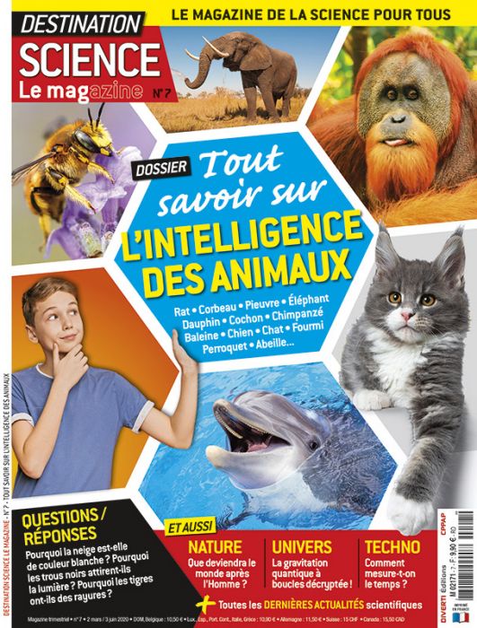 Destination Science Le Magazine 7 Tout Savoir Sur L Intelligence Des Animaux